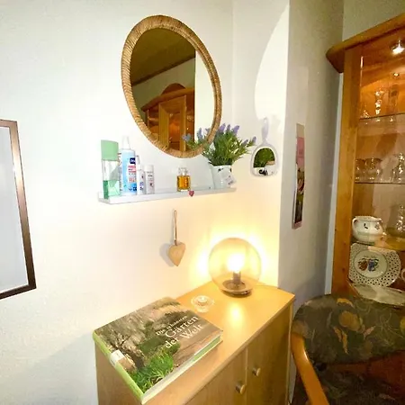 Gemuetliches Vollausgestattetes Appartement In Messenaehe